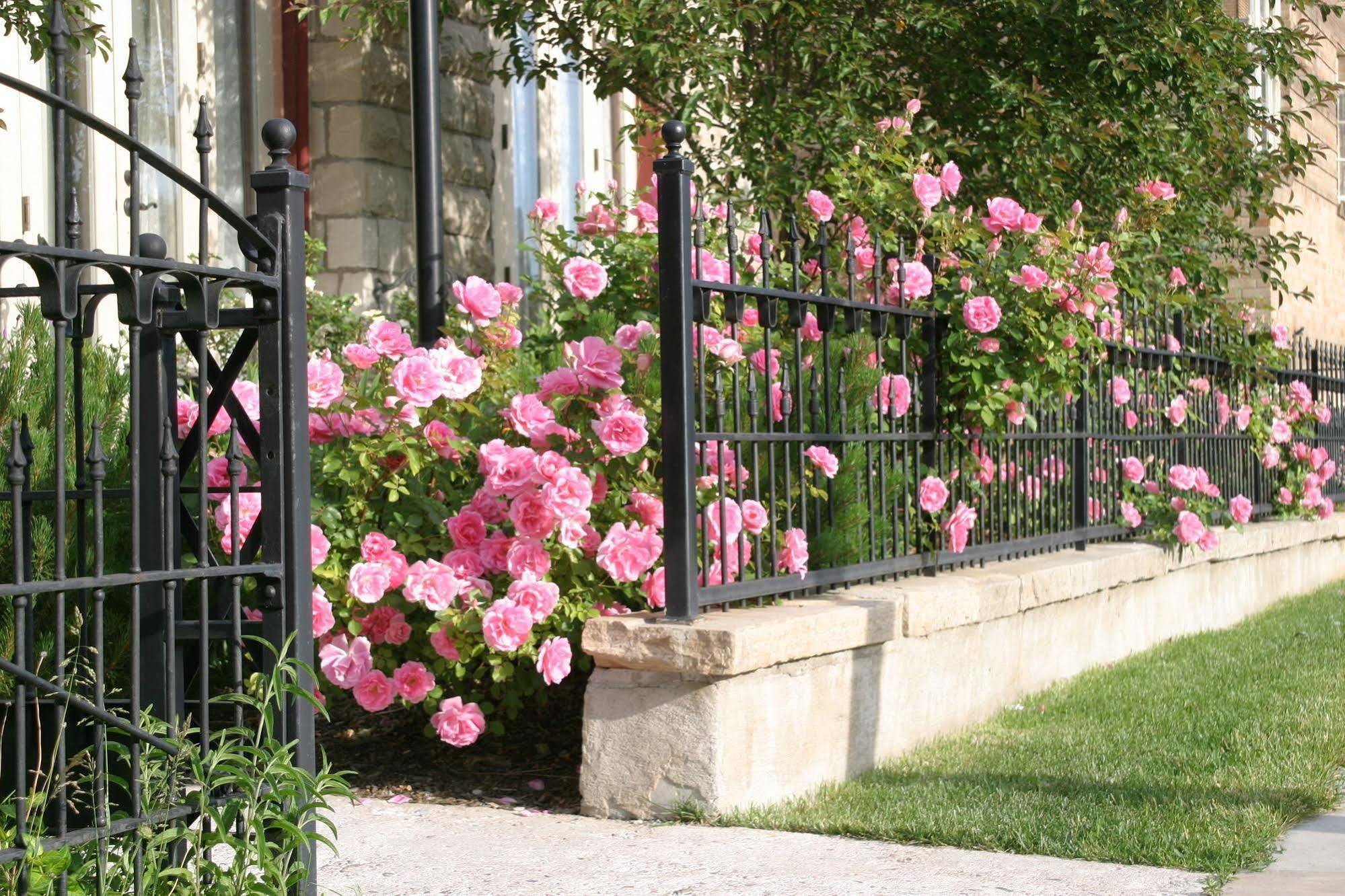 Nagle Warren Mansion B&B Cheyenne Esterno foto